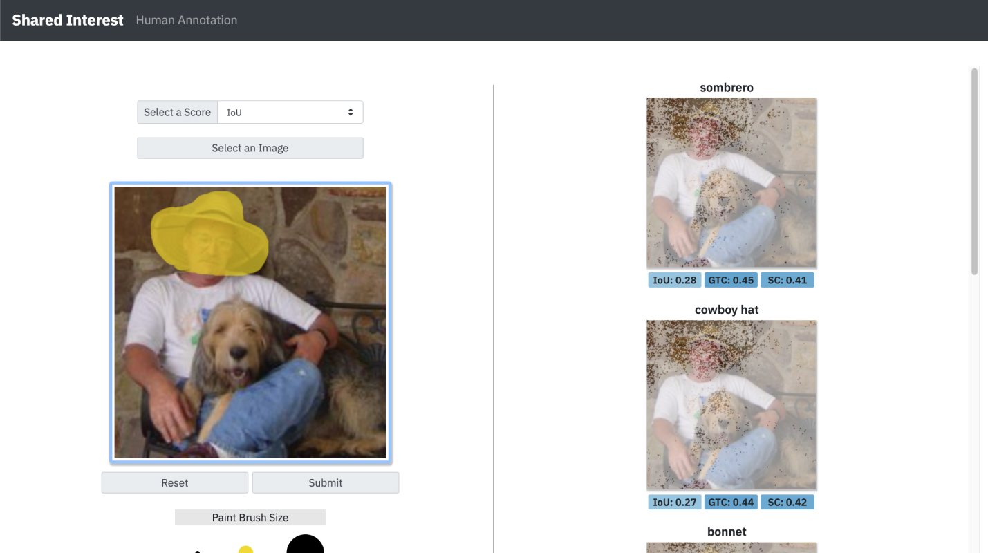 shared-interest-demo thumbnail image.